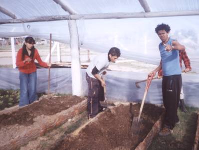 Centro Juvenil - Alternativa Chuy